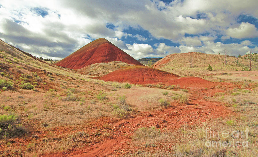 Painted Hills #2 Photograph by Gary Wing