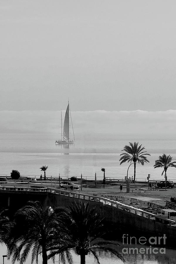 Palma de Mallorca  #3 Photograph by Elisabeth Derichs