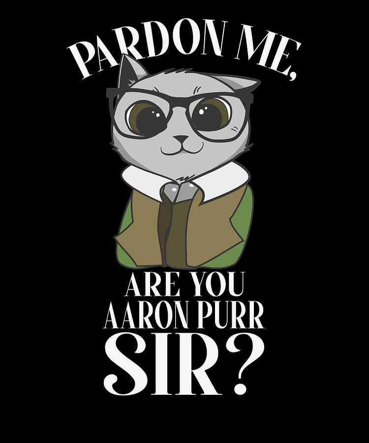 Pardon Me Are You Aaron Purr, Sir? T-Shirt