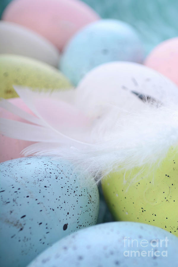 Pastel Easter Eggs #2 Photograph by Milleflore Images