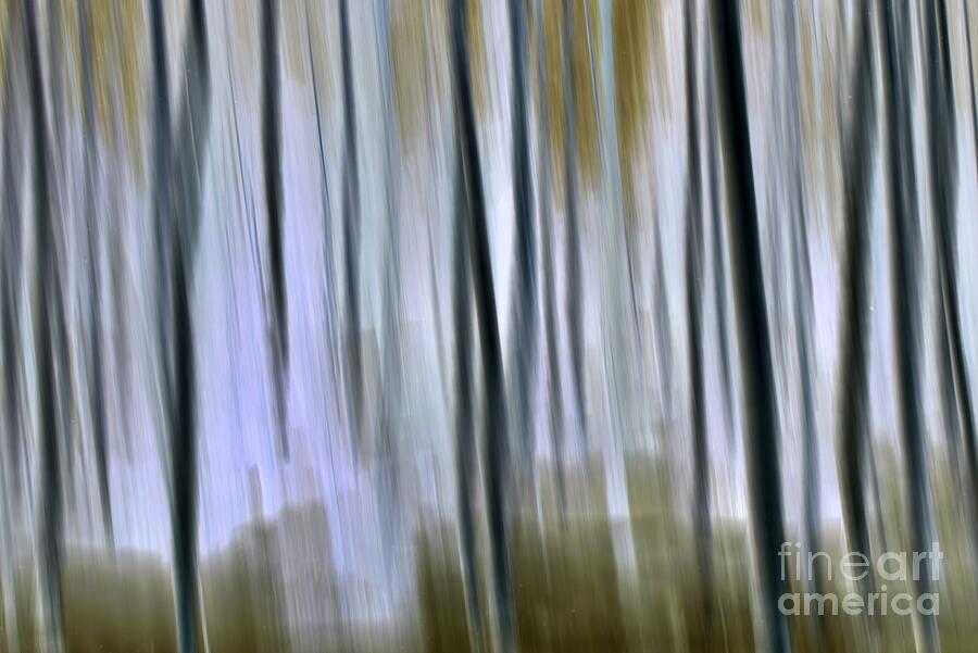 Abstract Photograph - Patterning 1 #2 by Esko Lindell