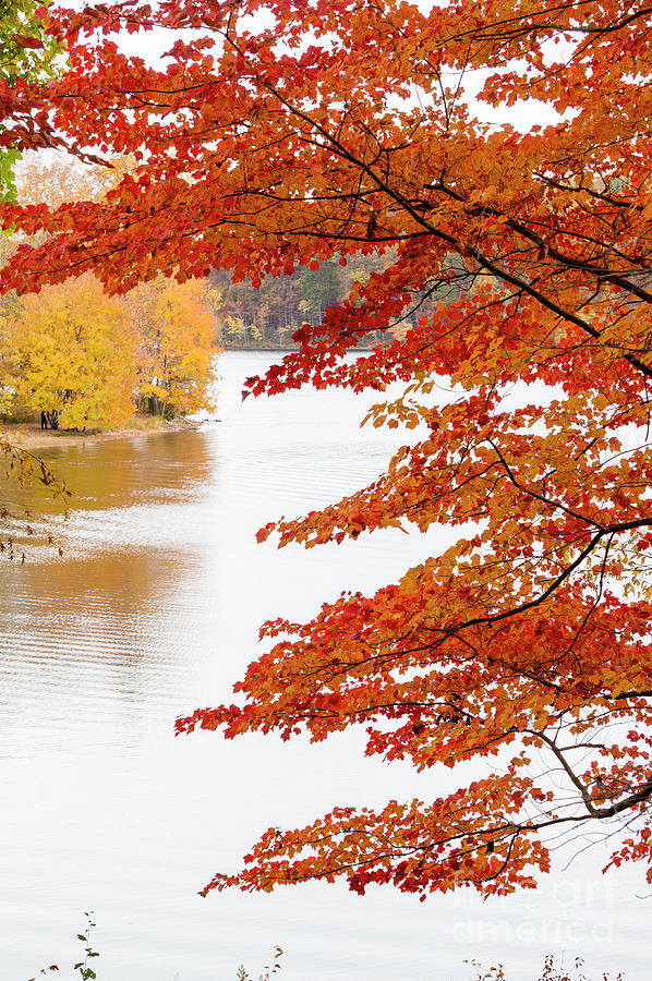 Peaking autumn colors around the lake at Seneca Creek State Park #2 Photograph by William Kuta