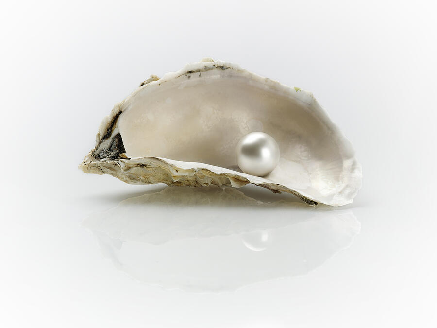Pearl And Oyster Shells #2 Photograph by John Rensten