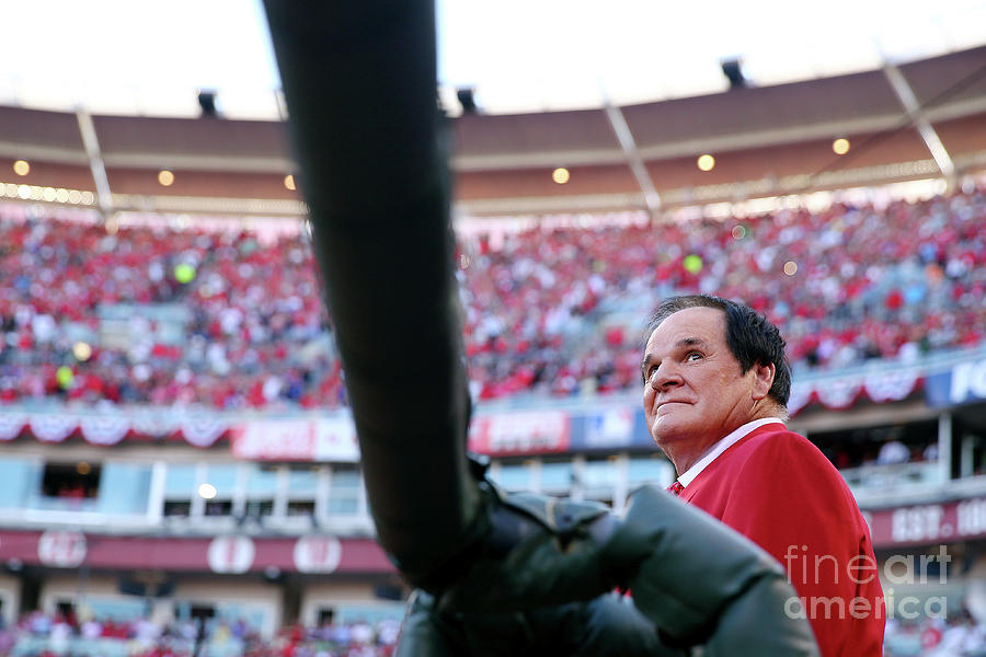 Pete Rose Photograph by Elsa Pete Rose Photograph by Elsa