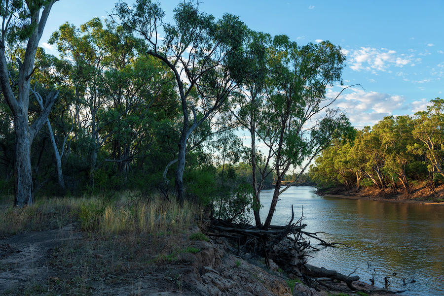 The River Murray Photograph by Damian Morphou