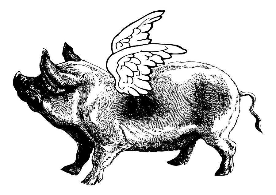 Pig with Wings - No. 3 Digital Art by Eclectic at Heart