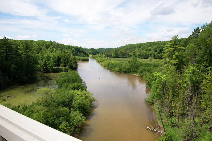 Pine river фото