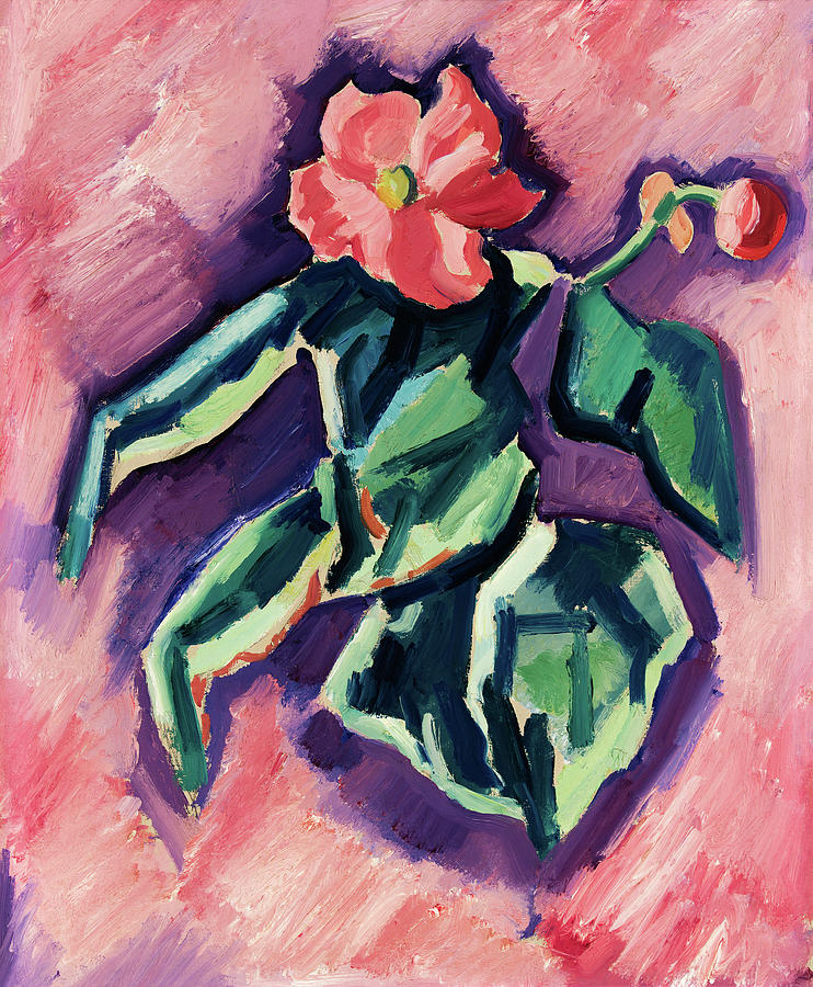 Marsden Hartley Painting - Pink Begonias #2 by Marsden Hartley
