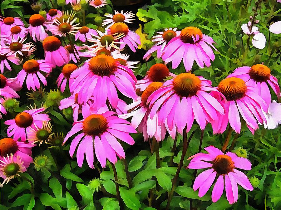 Pink Daisy Painting by Ian Kydd Miller - Fine Art America