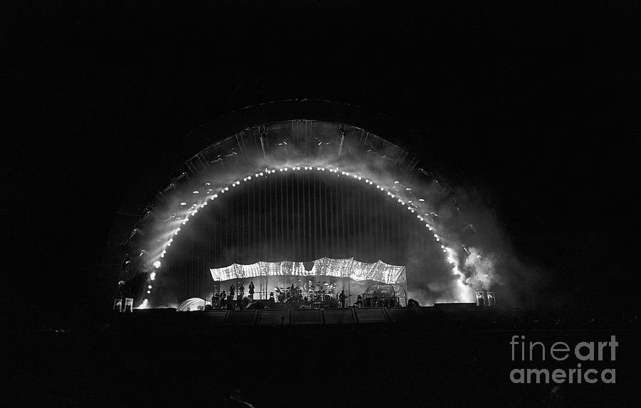 Pink Floyd Photograph by Concert Photos