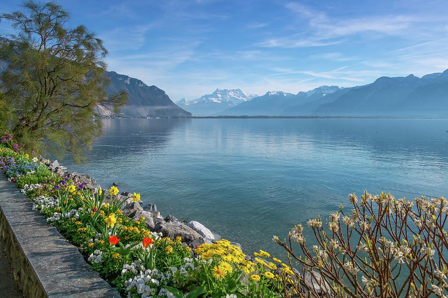 Plants and flowers next to Geneva Leman lake at Montreux, Switzerland #2 Photograph by Elenarts - Elena Duvernay photo