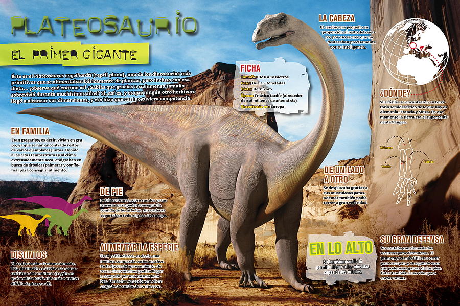 Plateosaurus #2 Digital Art by Album