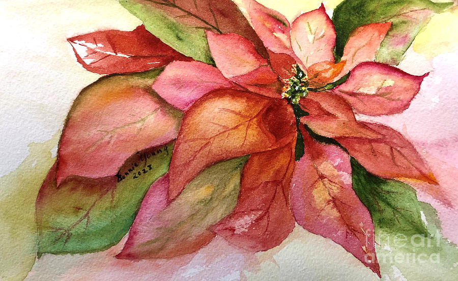 Poinsettia #2 Painting by Bonnie Young
