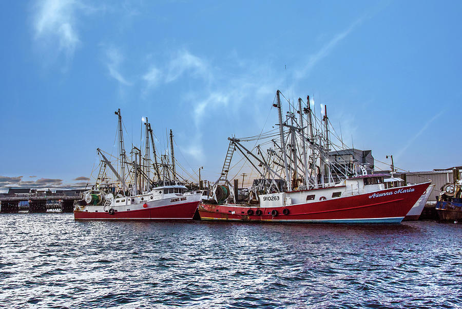 Point Pleasant Fishing Cooperative Photograph by Bob Cuthbert - Fine