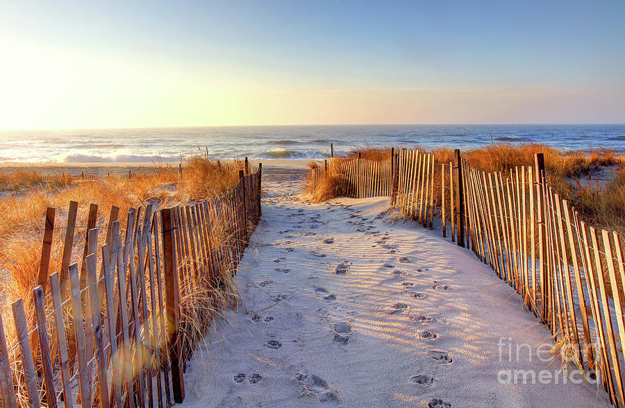 Ponquogue Beach in the Hamptons #2 Photograph by Denis Tangney Jr ...