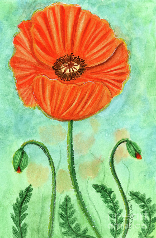 Poppy #2 Painting by Dorothy Lee