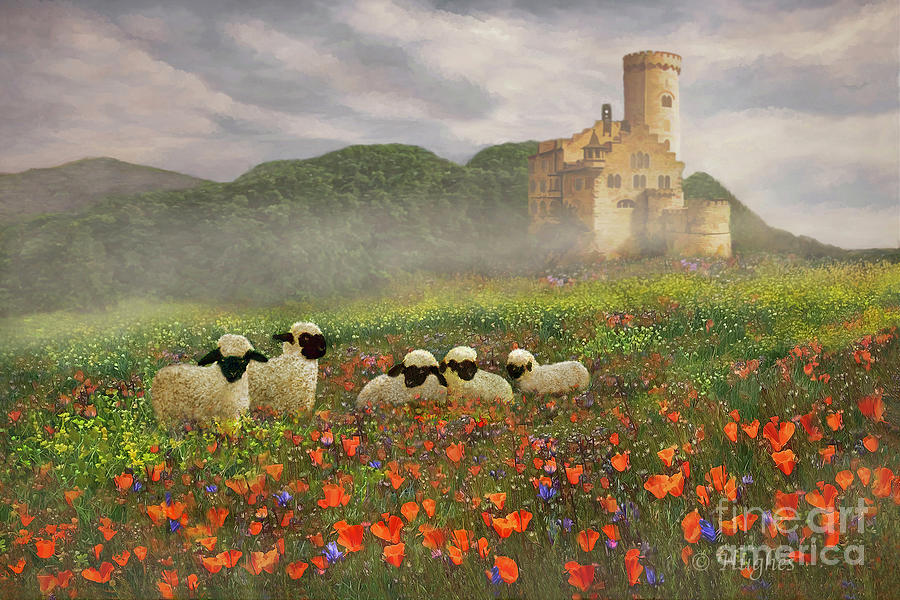 Poppy Haven #2 Digital Art by Melinda Hughes-Berland Poppy Haven #2 Digital Art by Melinda Hughes-Berland