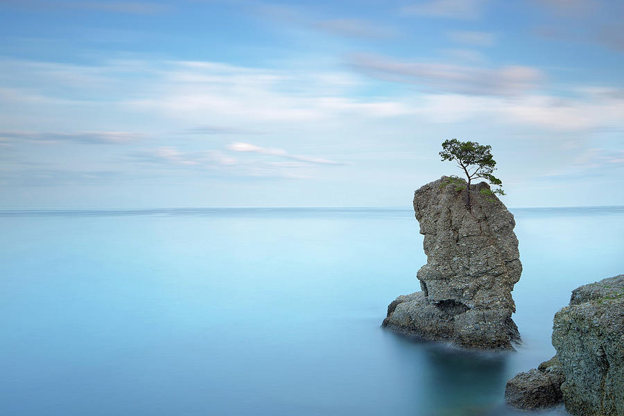 Portofino park. Pine tree rock cliff. Long exposure. Liguria, It #2 Photograph by Stefano Orazzini