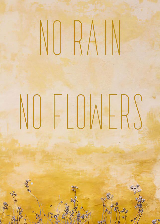 Positive Quotes And Saying No Rain No Flowers Digital Art by Rowlette ...