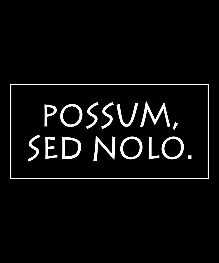 Romulus Digital Art - Possum sed nolo #2 by Vidddie Publyshd