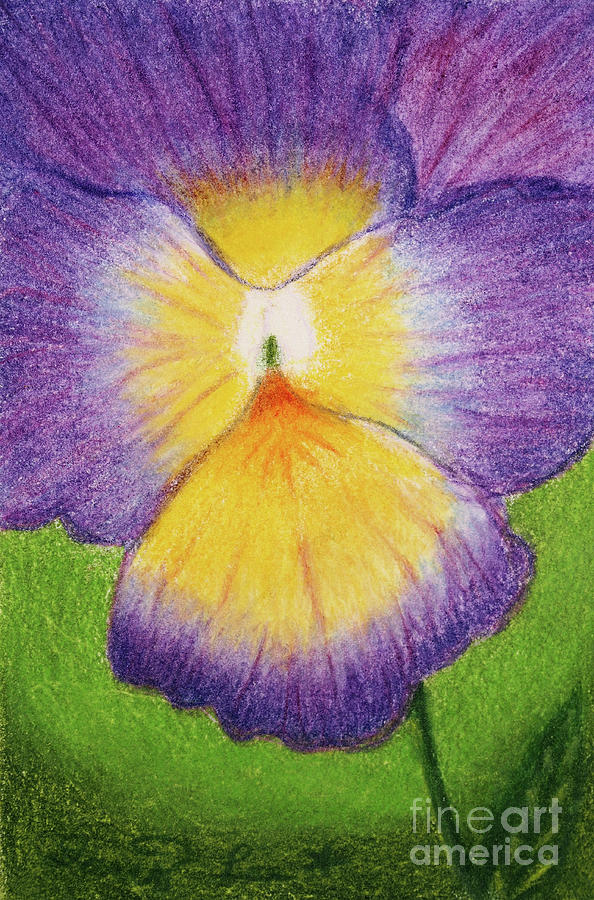 Pretty Purple Pansy #2 Painting by Dorothy Lee