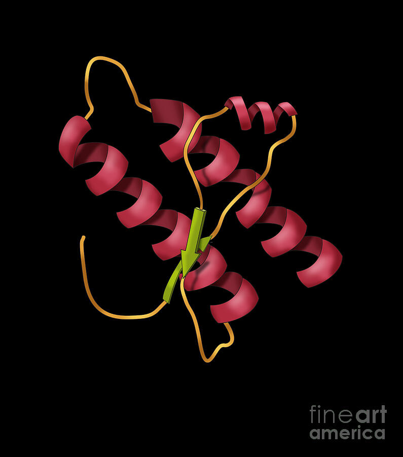 Prion Protein Molecular Model #2 Photograph by Monica Schroeder - Fine ...