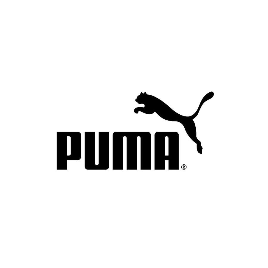 Puma Best Seller Digital Art by Delinda Fleckno - Fine Art America