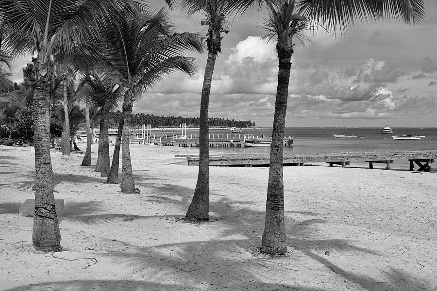 Punta Cana Beach #2 Photograph by Shirley Mitchell