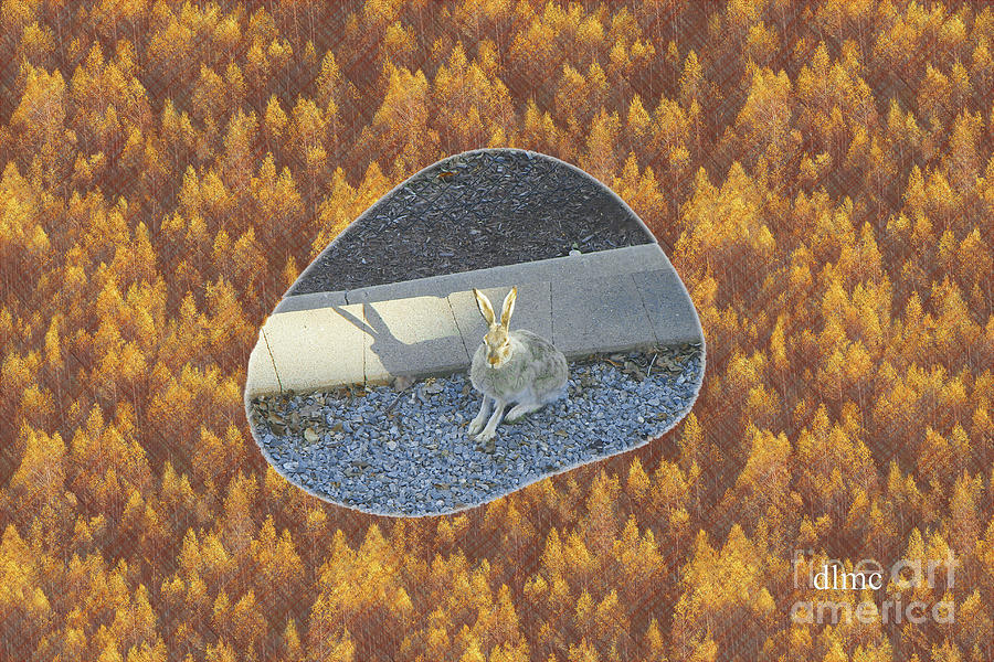 Rabbit #2 Digital Art by Donna L Munro