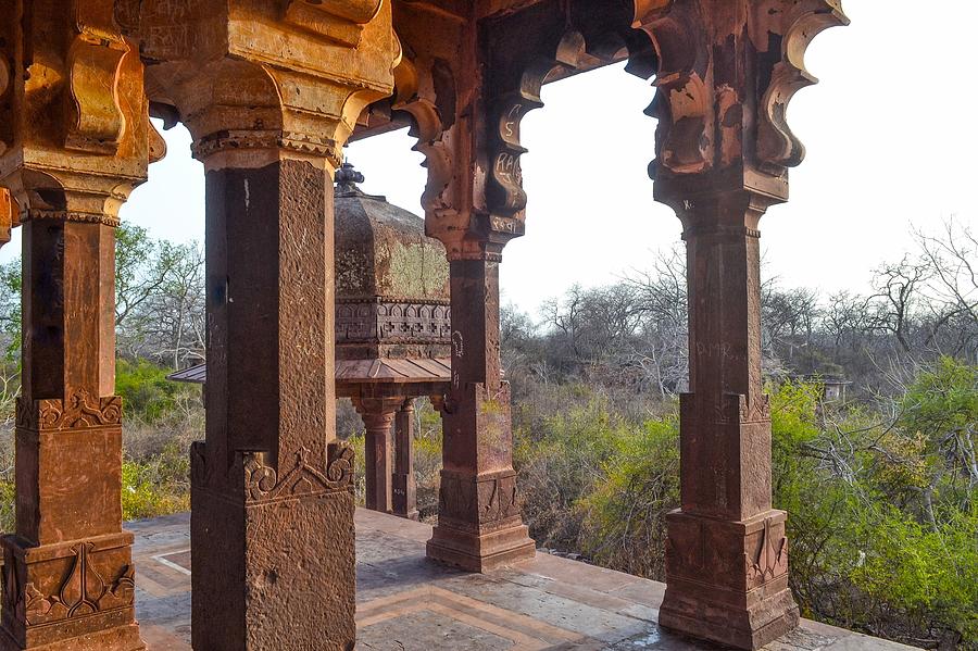 Ranthambore fort/UNESCO World Heritage Site/Rajasthan #2 Photograph by Veena Nair