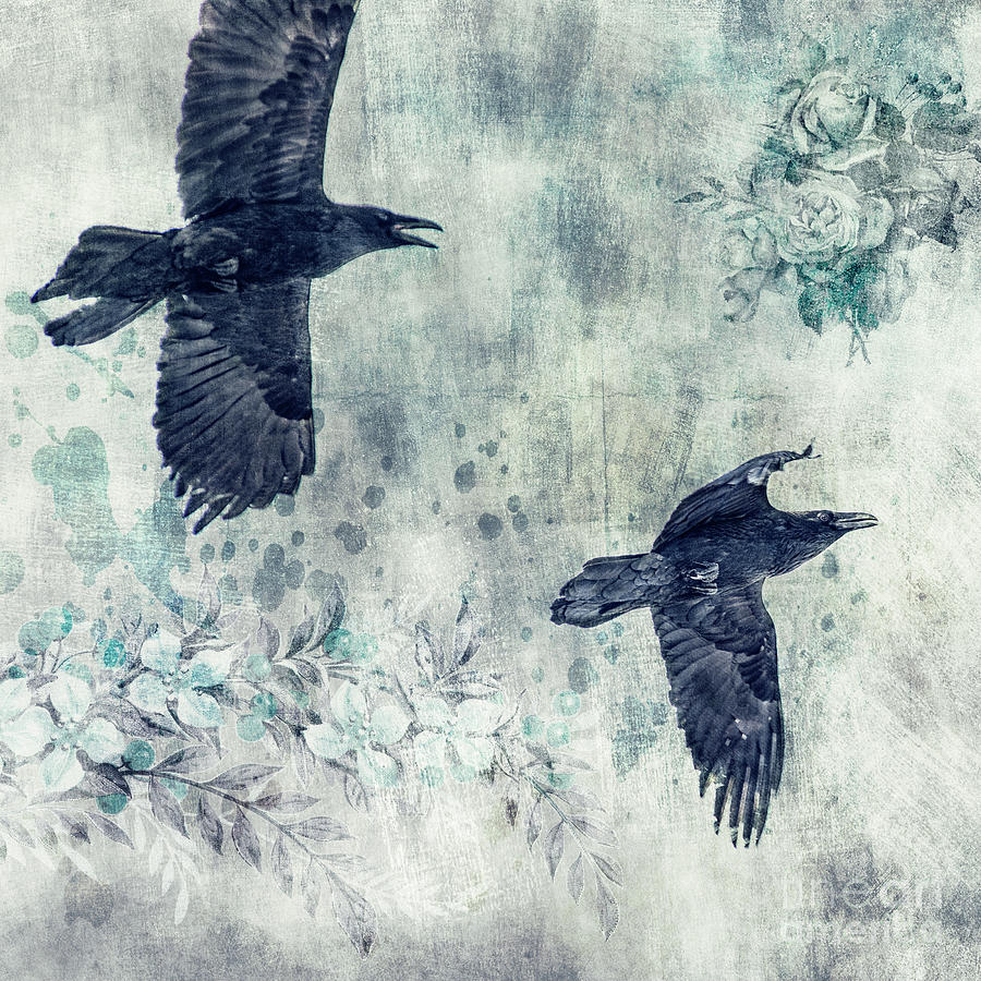 Raven Photograph - 2 Ravens In Flight by Priska Wettstein