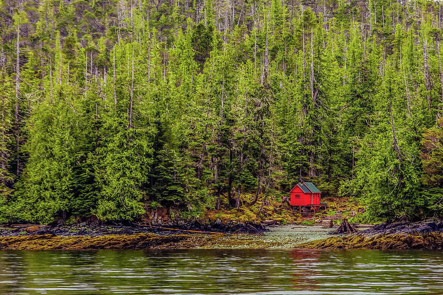 Red Cabin on Edge of Alaskan Waterway in Evergreen Forest #2 Photograph by Darryl Brooks