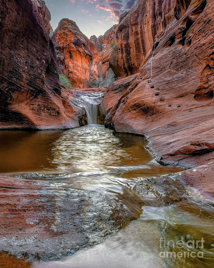 Zion National Park Photograph - Red Cliffs Waterfall #2 by Roxie Crouch