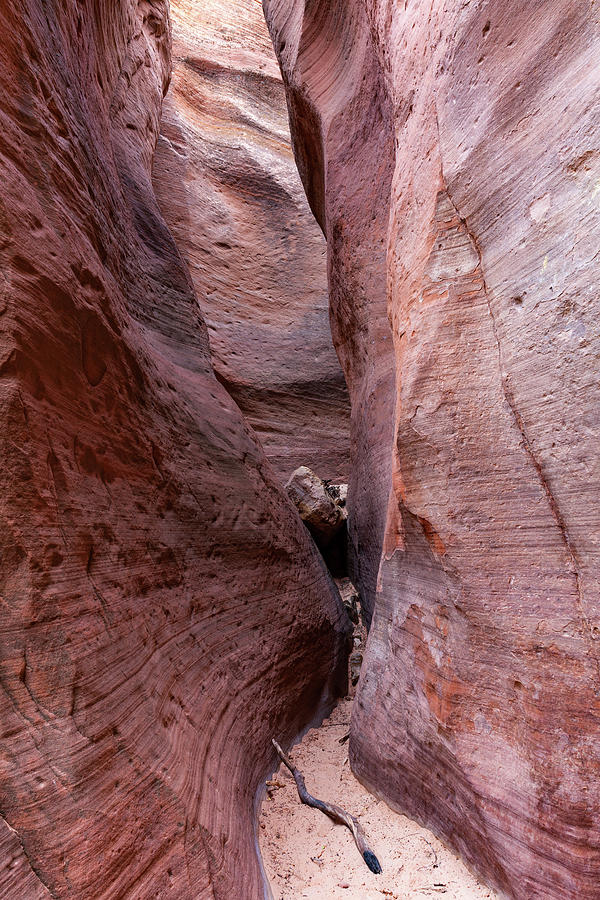 Red Hollow Slot Canyon #2 Photograph by James Marvin Phelps