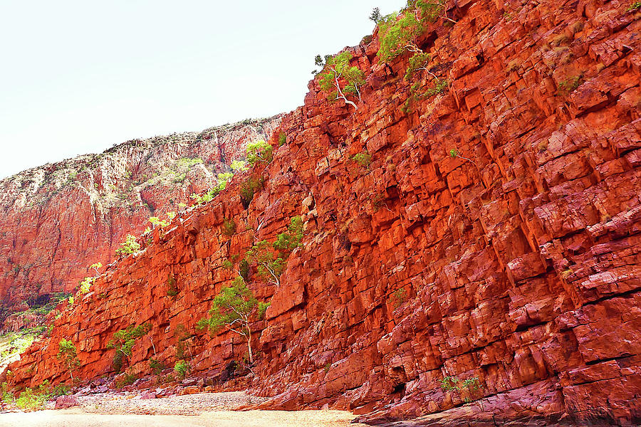 Red Rock of Ormiston Gorge Photograph by Lexa Harpell