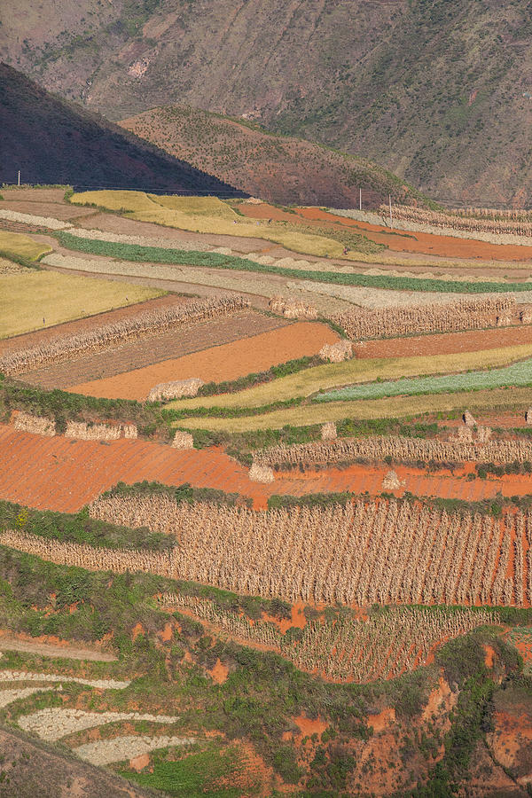 Red soil farmlands in Dongchuan district #2 Photograph by MOAimage