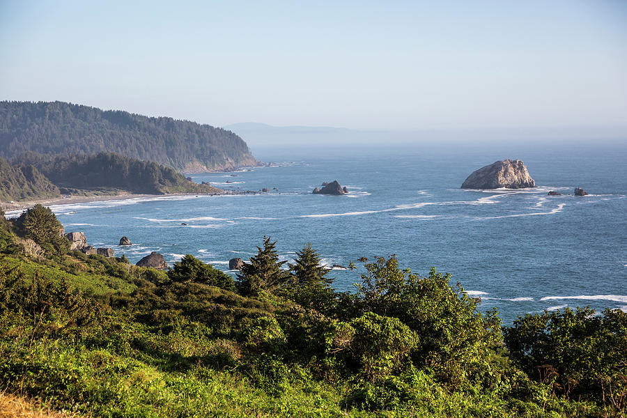 Redwood National Park Beach Photograph by Patrick Barron - Fine Art America