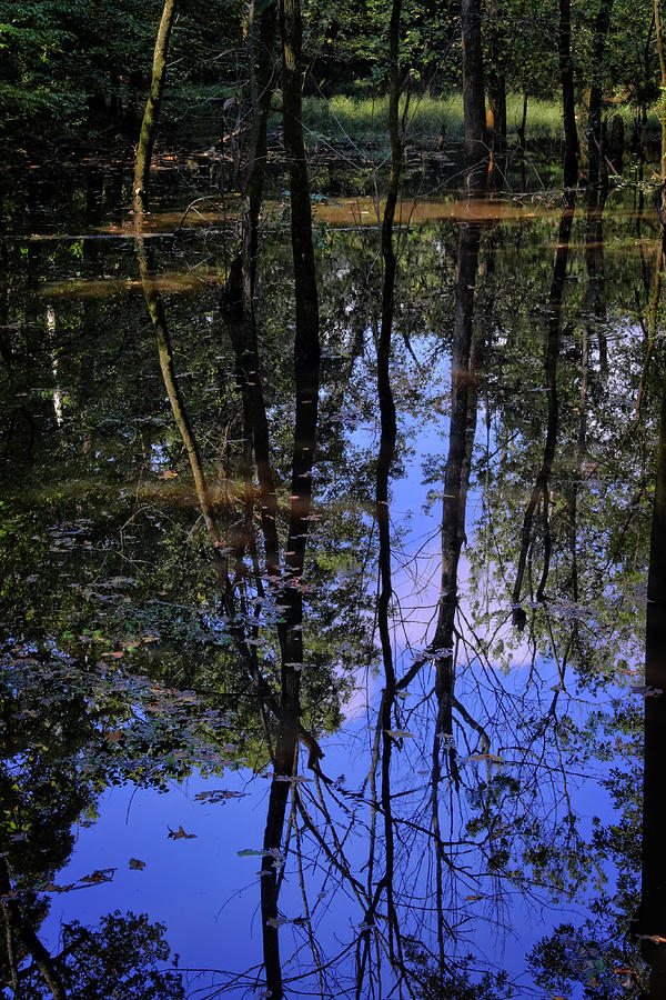 Reflections #2 Photograph by George Taylor