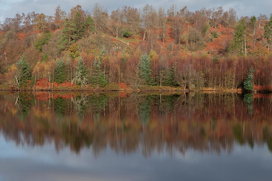 Reflections, Tarn Hows #2 Photograph by Nick Atkin