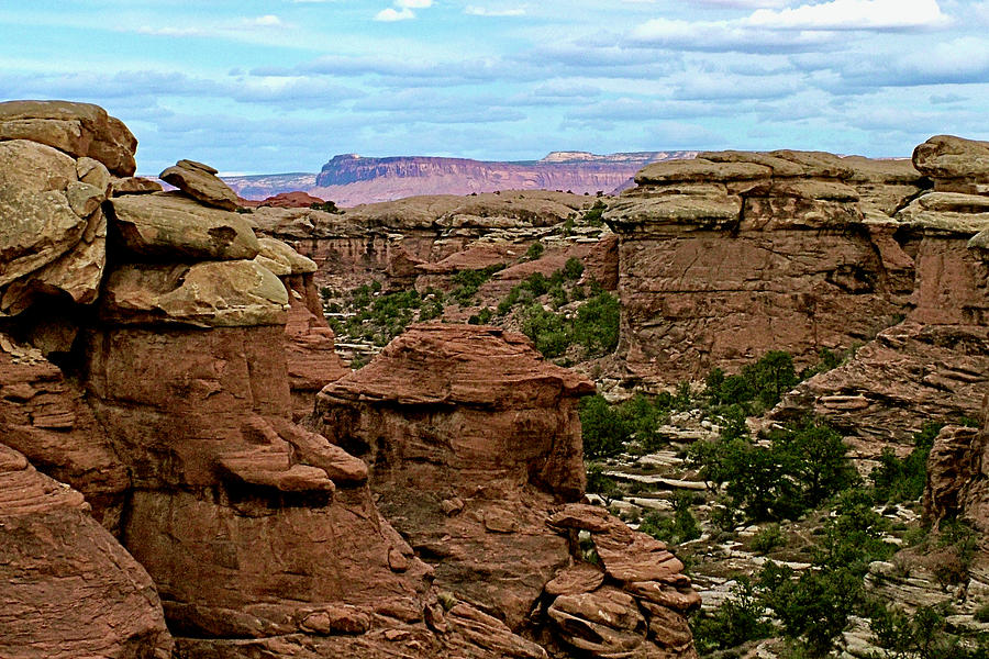 Return Trail to Elephant Hill, Needles District, Canyonlands National Park, Utah  #2 Photograph by Ruth Hager