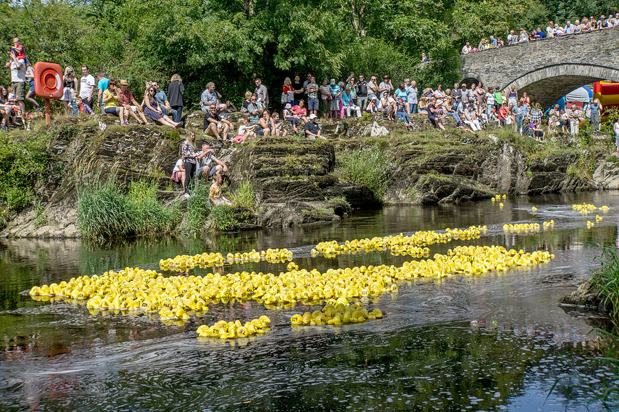 River duck race with crowds cheering them on #2 Photograph by Tirc83