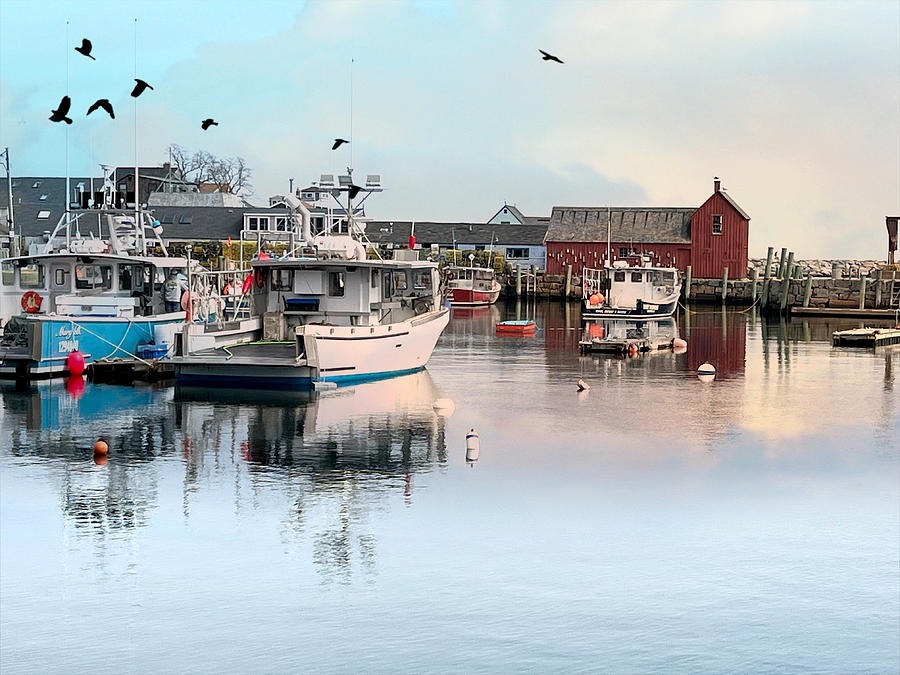 Rockport Harbor #2 Photograph by Tricia Marchlik