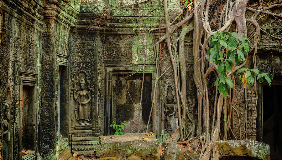 Roots covering the ruin of Ta Prohm temple #2 Photograph by Mikhail Kokhanchikov
