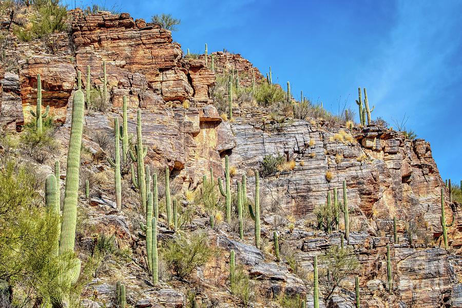 2 Sabino Canyon Recreation Area At Tucson Arizona Kenneth Roberts 