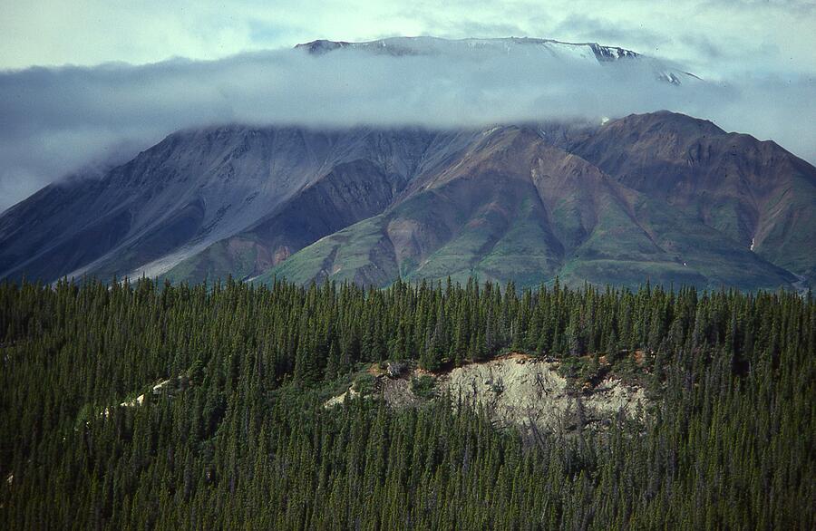 Saint Elias Mountains Alaska #1 Photograph by Lawrence Christopher