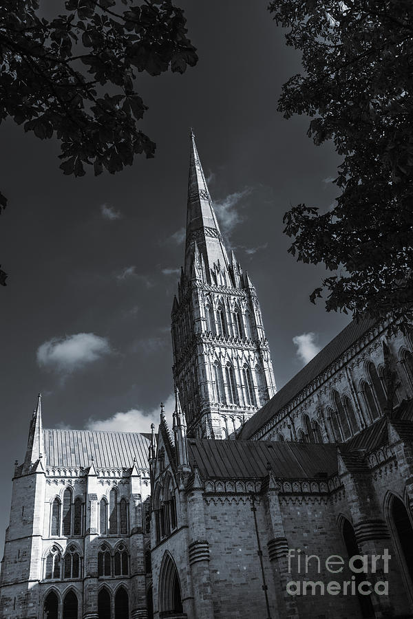 Salisbury Cathedral and spire #2 Photograph by Peter Noyce