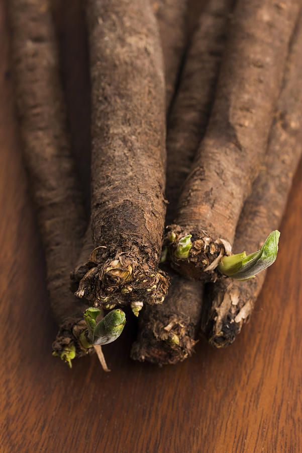 Salsify Vegetables On Wood #2 Photograph by Joannawnuk