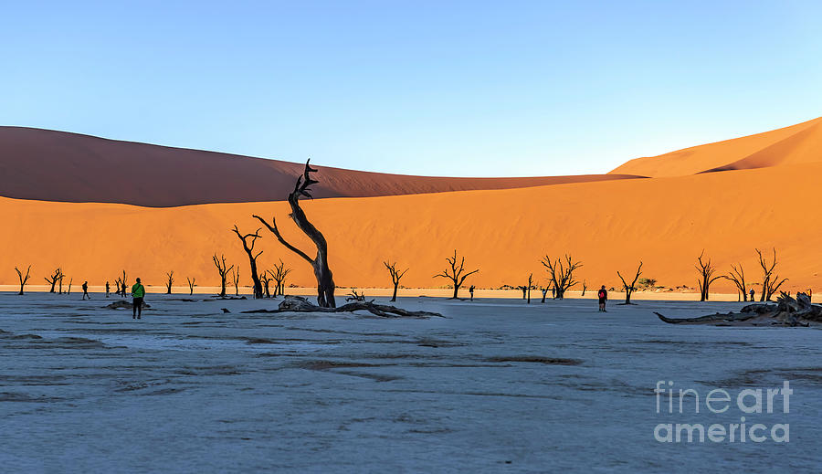 Sand Dune In The Namibian Desert Near Sossusvlei In Namib-Nauklu ...