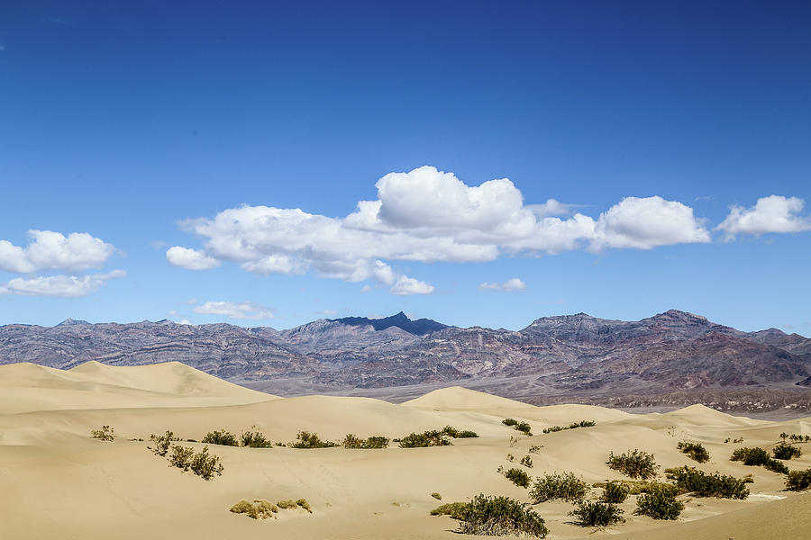 Sand Dunes in Death Valley #2 Photograph by Alberto Zanoni