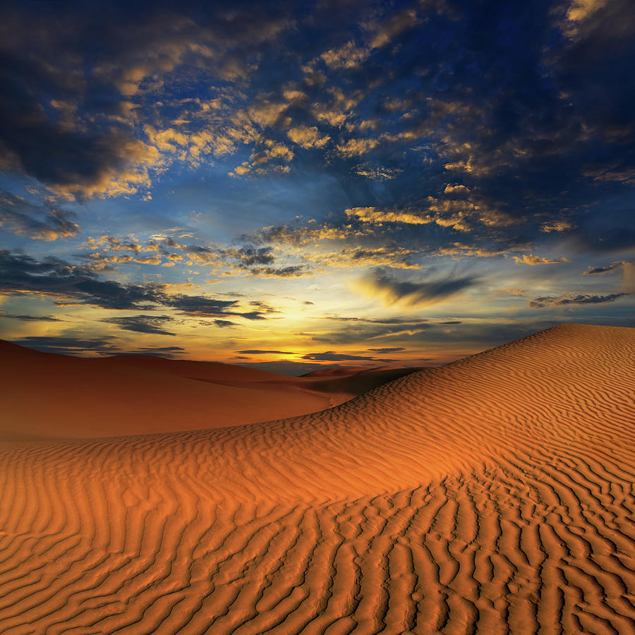 Sand Dunes In Desert At Sunset #2 Photograph by Mikhail Kokhanchikov